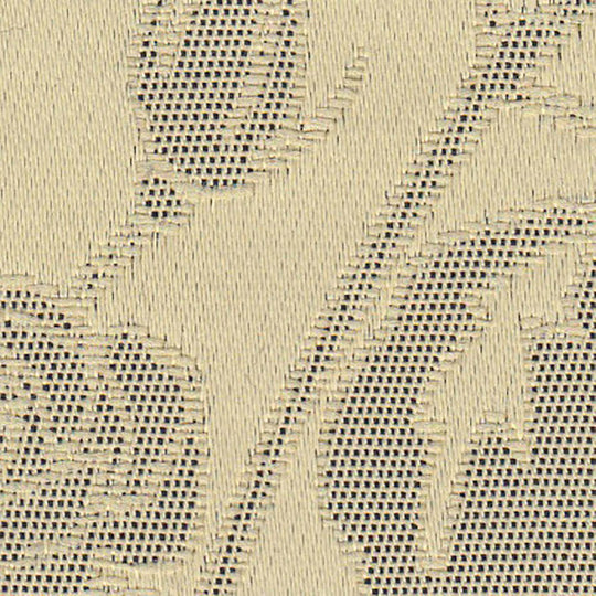 E-7465(アシェナ)