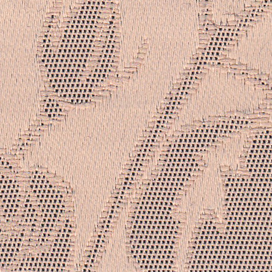 E-7466(アシェナ)