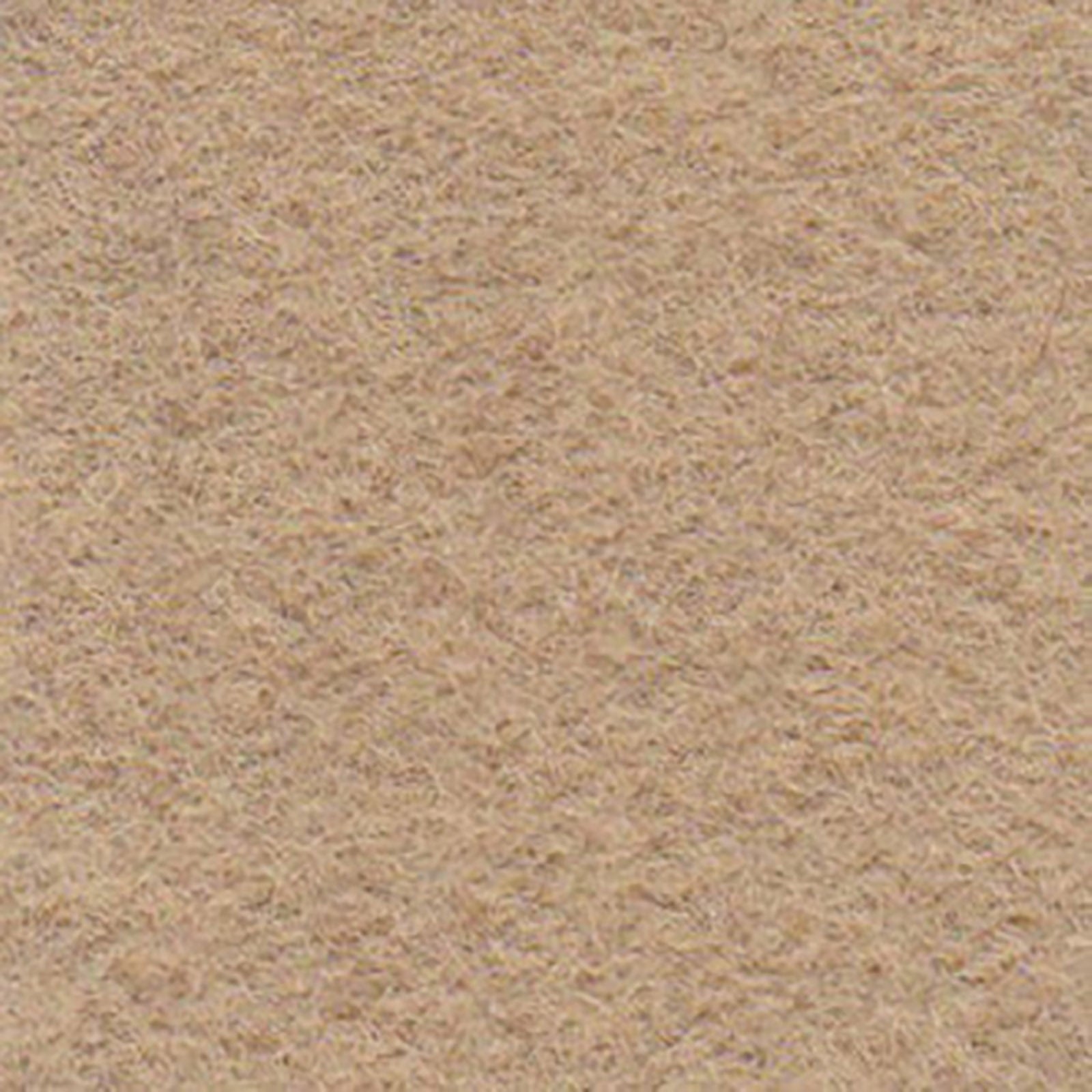 ニューナイトシティの画像です