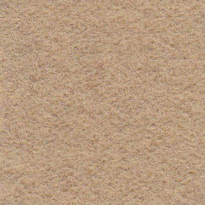 ニューナイトシティの画像です