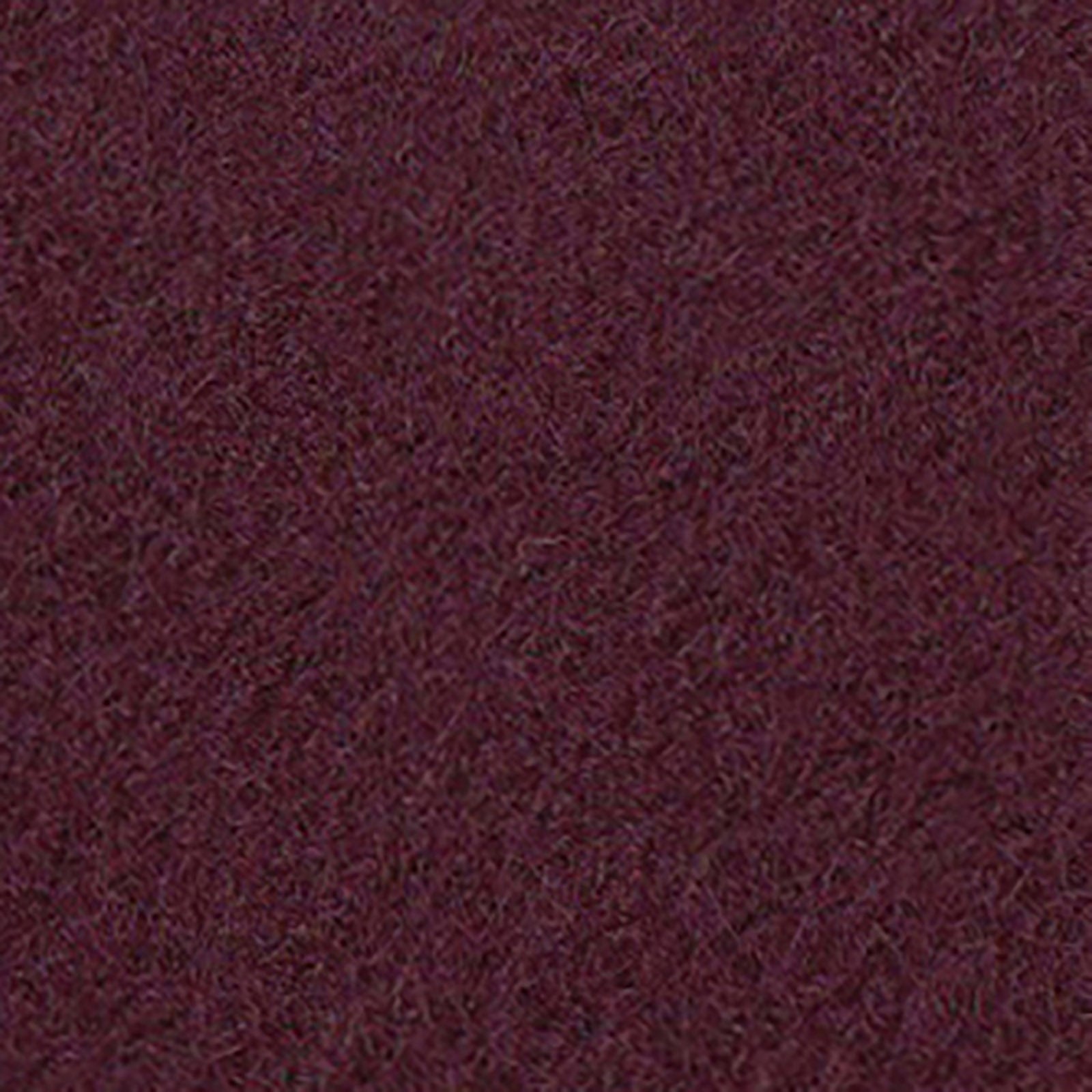 ニューナイトシティの画像です