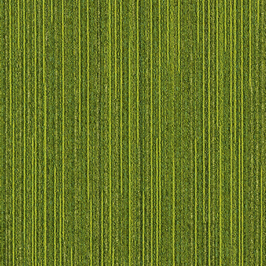 LX-1134(LX-1100 RANDOM)