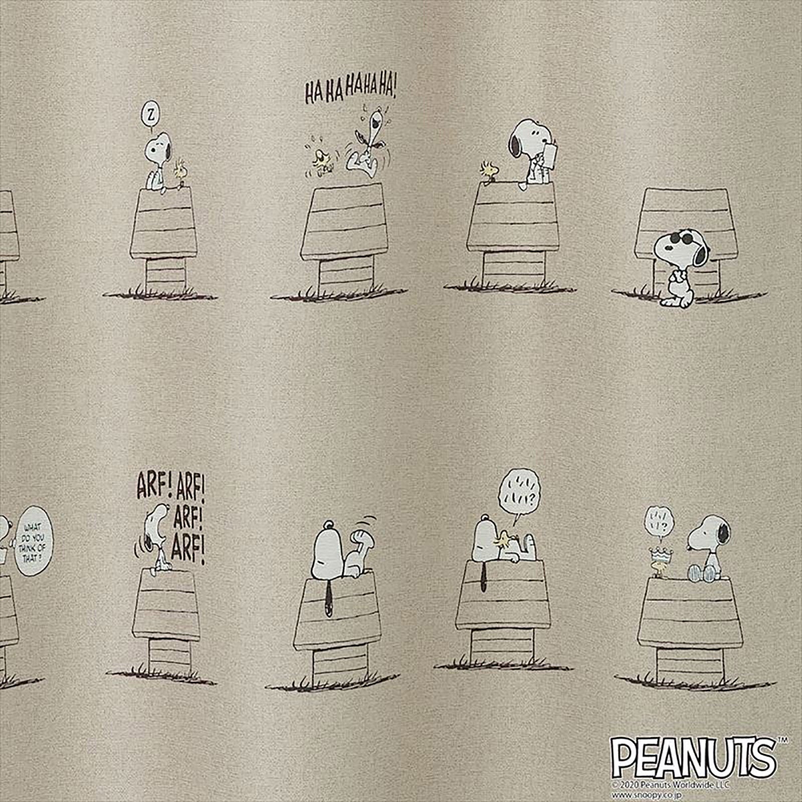 PEANUTSのP-1004の画像です