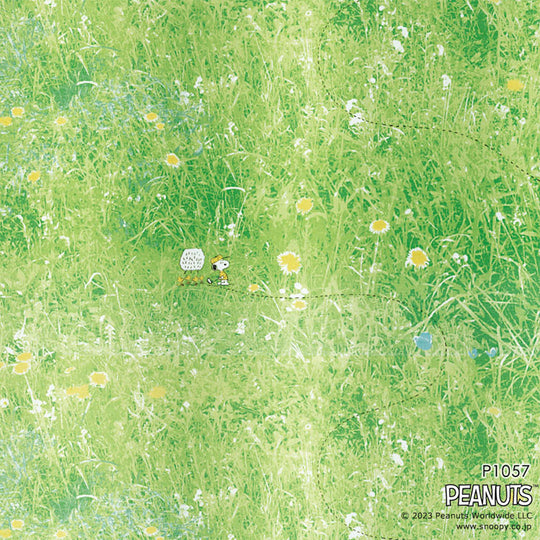 P-1057(Field voile/フィールドボイル)