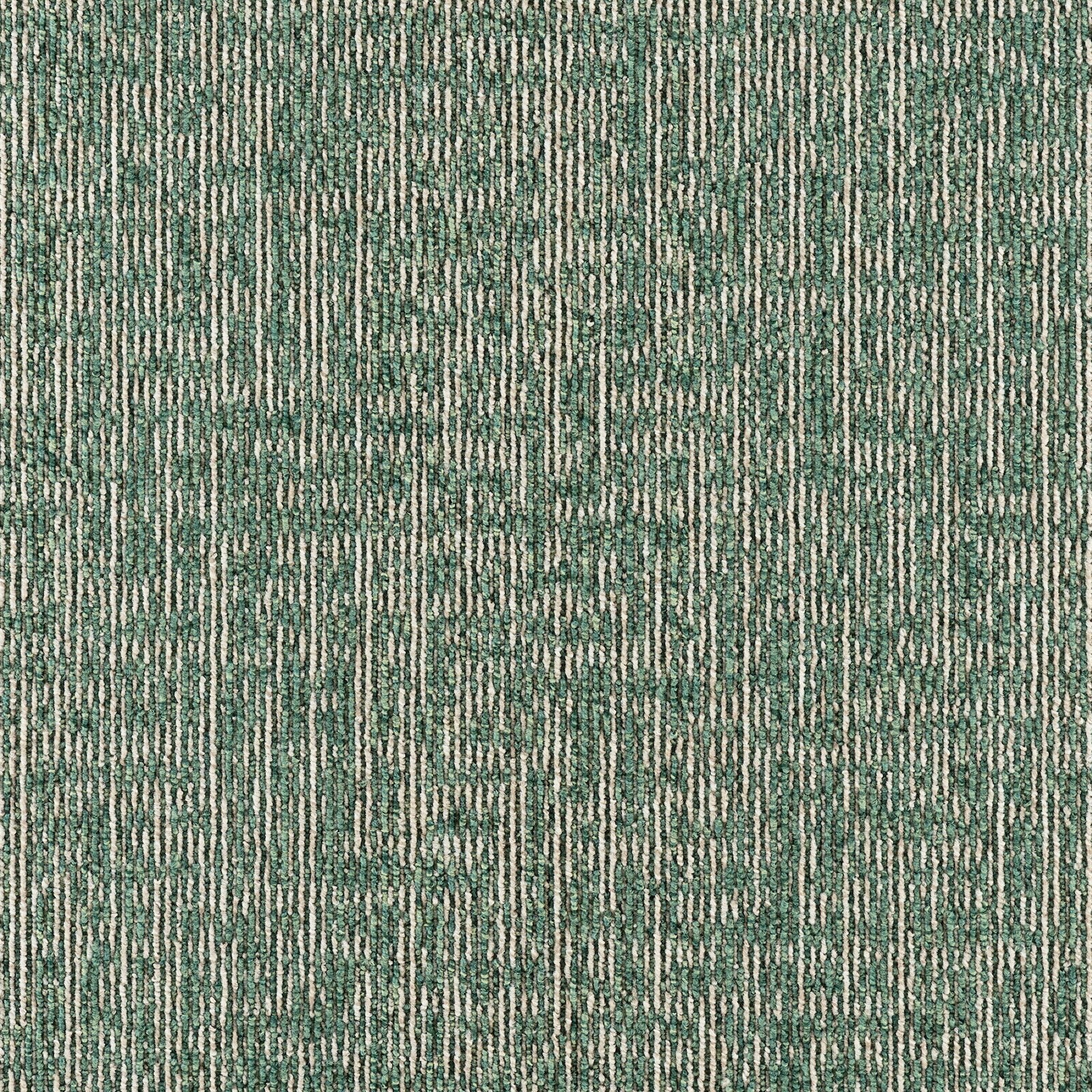 PX-6006 (PX-6000)