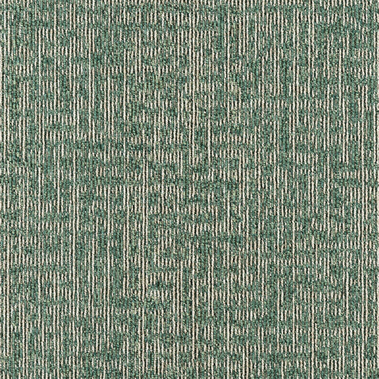 PX-6006 (PX-6000)
