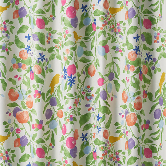 V-1351(FRUITS TORI /フルーツトリ)