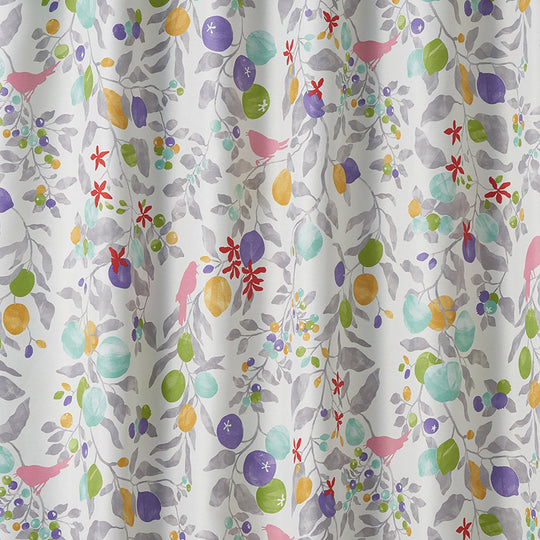 V-1352(FRUITS TORI /フルーツトリ)