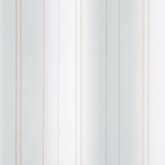 V-2107(STITCH LINE/ステッチライン)