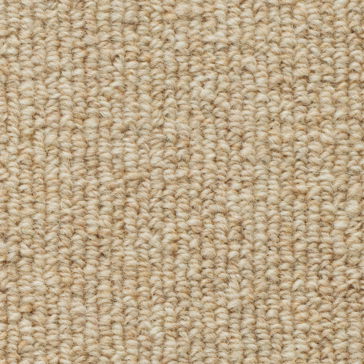 WS-104(ウールスコット プレーン WOOL SCOT PLAIN)|株式会社スミノエ インテリア プロダクツ(SUMINOE ...
