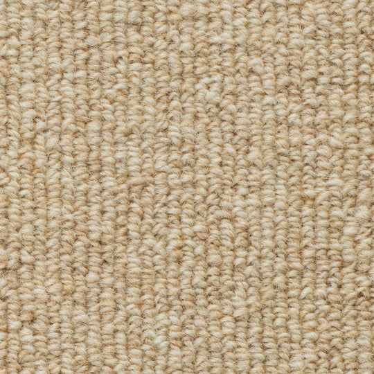 WS-104(ウールスコット プレーン　WOOL SCOT PLAIN)