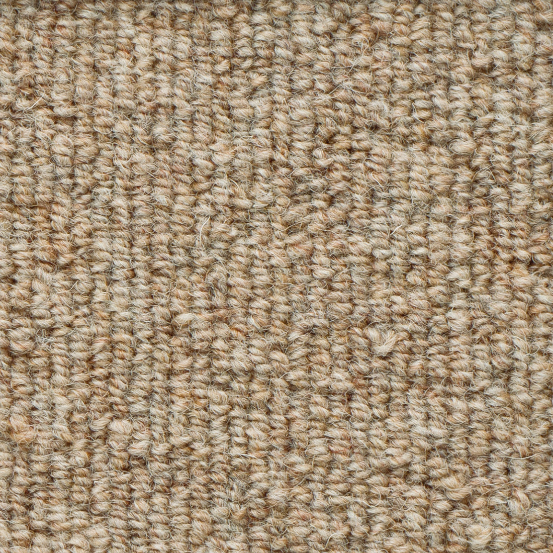 WS-105(ウールスコット プレーン WOOL SCOT PLAIN)|株式会社スミノエ インテリア プロダクツ(SUMINOE ...